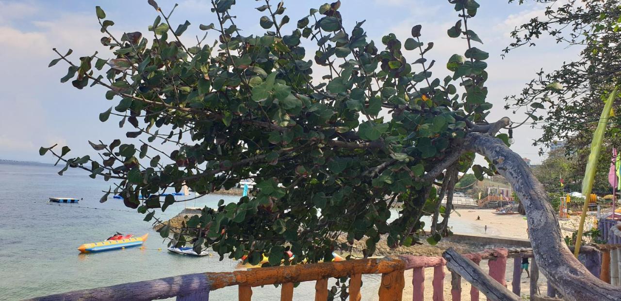 Mactan Newtown Condo With Garden And Ocean View 8Newtown Blvd Lapu-Lapu City Exteriör bild
