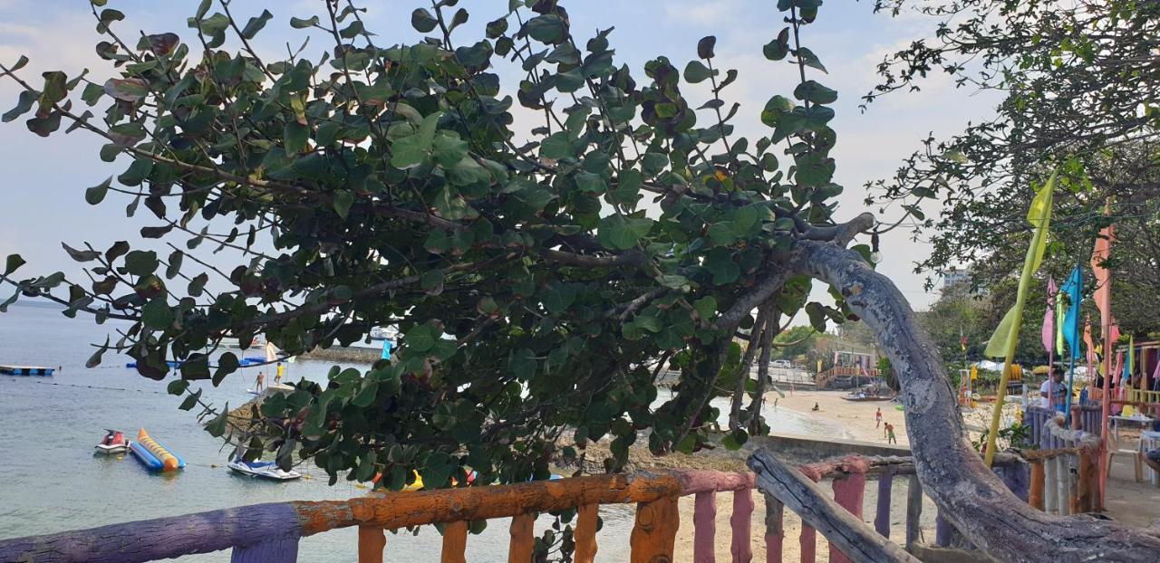 Mactan Newtown Condo With Garden And Ocean View 8Newtown Blvd Lapu-Lapu City Exteriör bild
